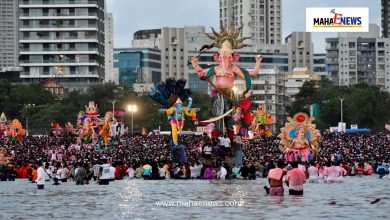 Bombay High Court directs eco-friendly immersions: Idols up to 6 feet must go in artificial tanks