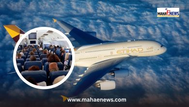 Major Relief for Air Passengers: 60% of Seat Selection Now Free!