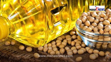 A Pinch on the Common Man's Pocket! Massive 30% Hike in Edible Oil Prices; Now You'll Have to Shell Out 'This Much' for a Liter