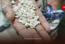 India Busts ₹182 Crore Captagon Drug Network (1)