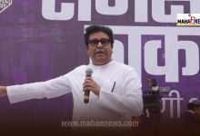 Raj Thackeray Slams Modi Over Austerity Call