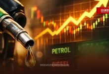 Vidarbha Farmers Struggle Amid Diesel Panic