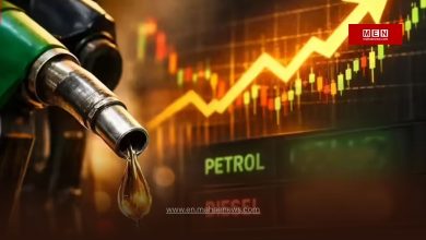 Vidarbha Farmers Struggle Amid Diesel Panic