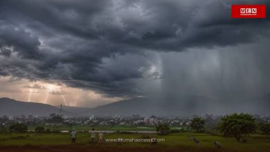 Monsoon Nears Maharashtra, Likely to Arrive Within Next 48 Hours