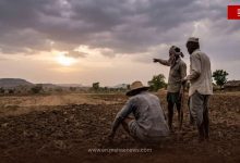 Rain Arrives, But Monsoon Yet to Fully Set In; Weather Experts Flag Key Concern for Farmers