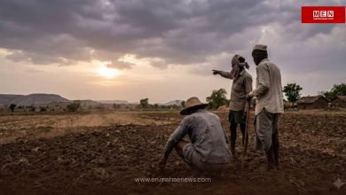 Rain Arrives, But Monsoon Yet to Fully Set In; Weather Experts Flag Key Concern for Farmers