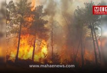 France and Spain Wildfires Force 300,000 Evacuations