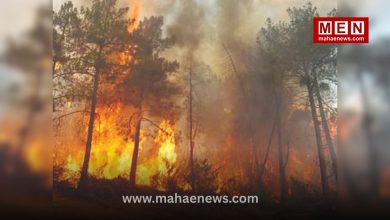 France and Spain Wildfires Force 300,000 Evacuations