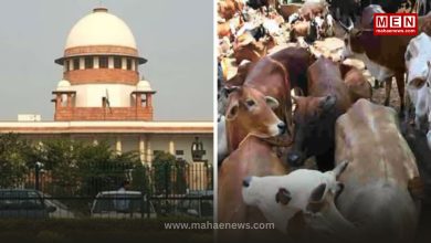 Supreme Court Stays Madras High Court Order on Complete Ban on Cattle Slaughter in Tamil Nadu