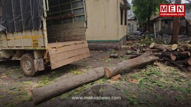 Tree Felling in Rajgurunagar Forest Office Sparks Controversy, Questions Raised Over Rule Compliance